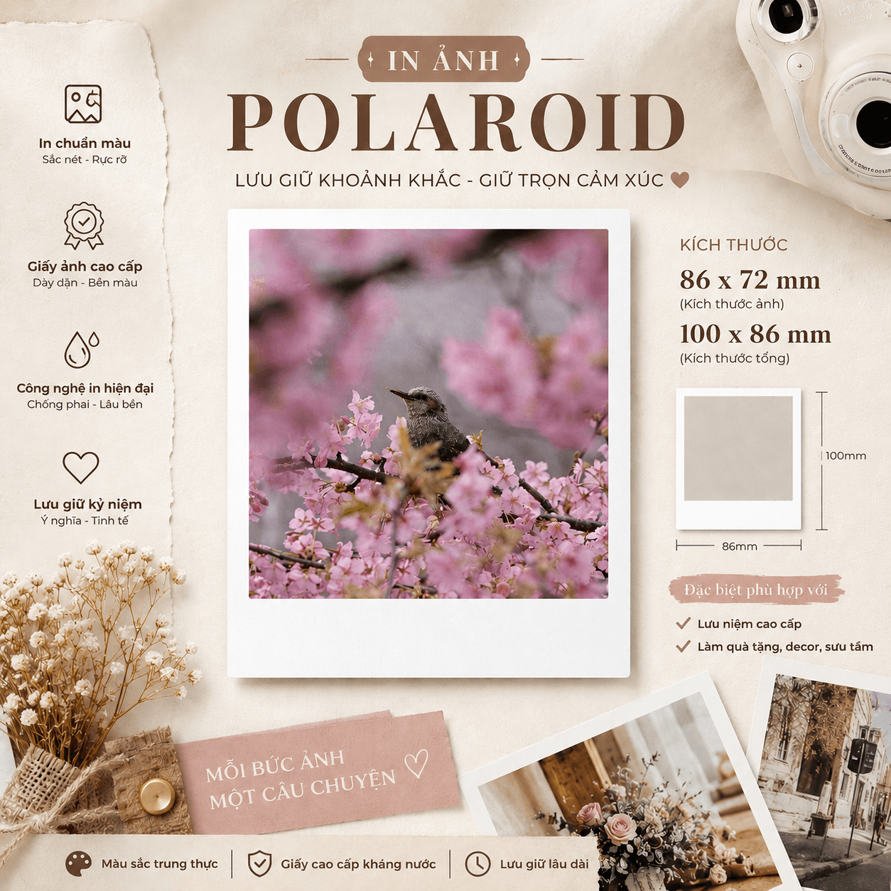 Ảnh Polaroid Chuẩn - Giấy tiêu chuẩn RC